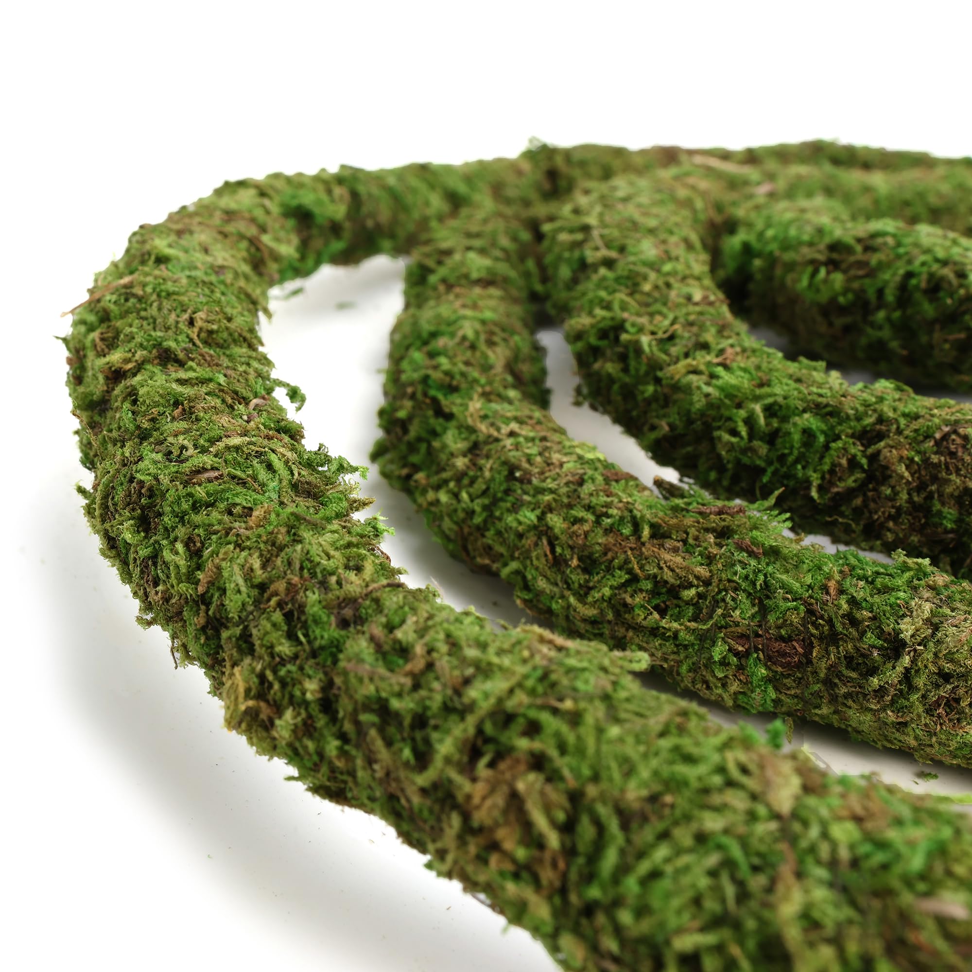 USMOLA Moss Vine easy-clean feature demonstrated in terrarium maintenance