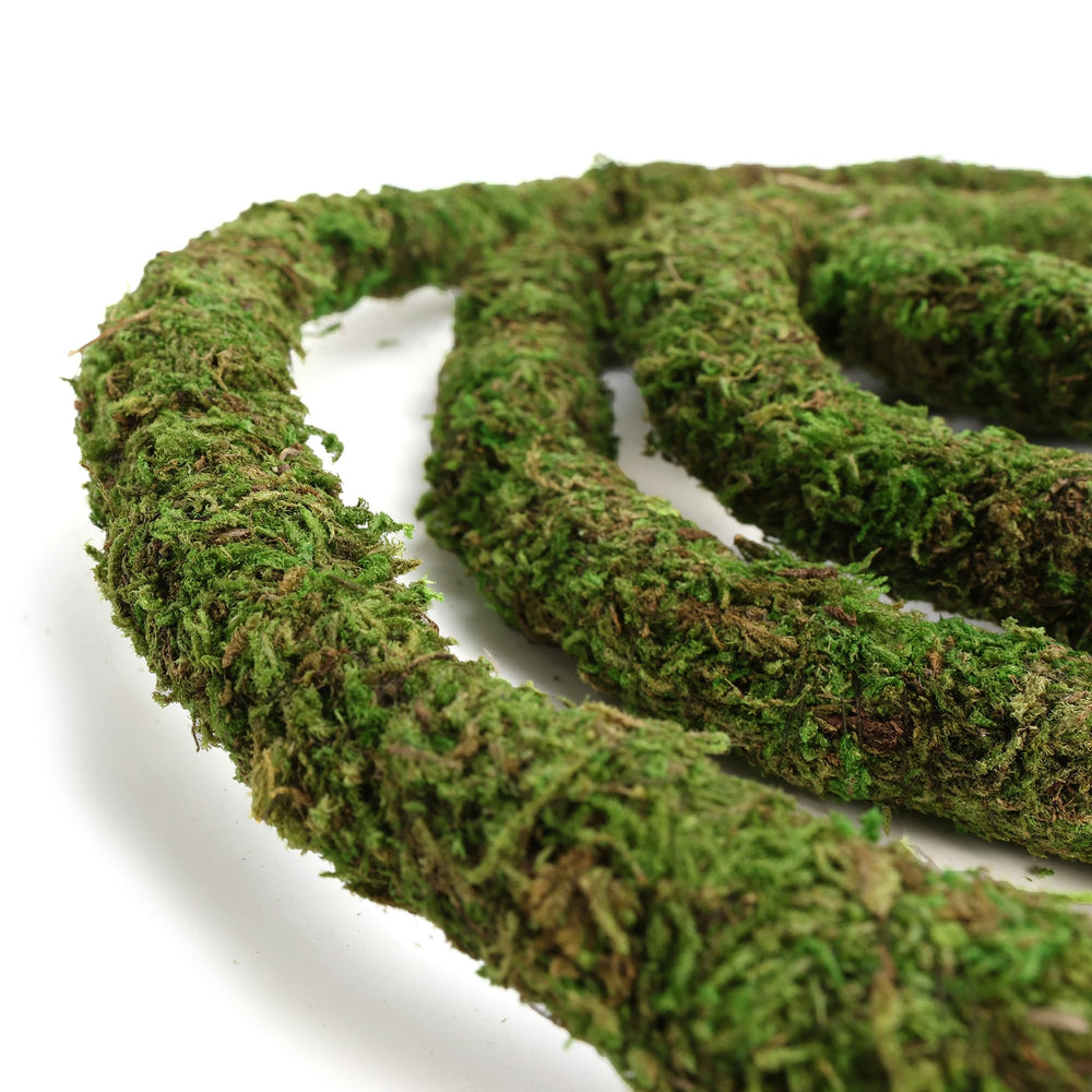 USMOLA Moss Vine easy-clean feature demonstrated in terrarium maintenance