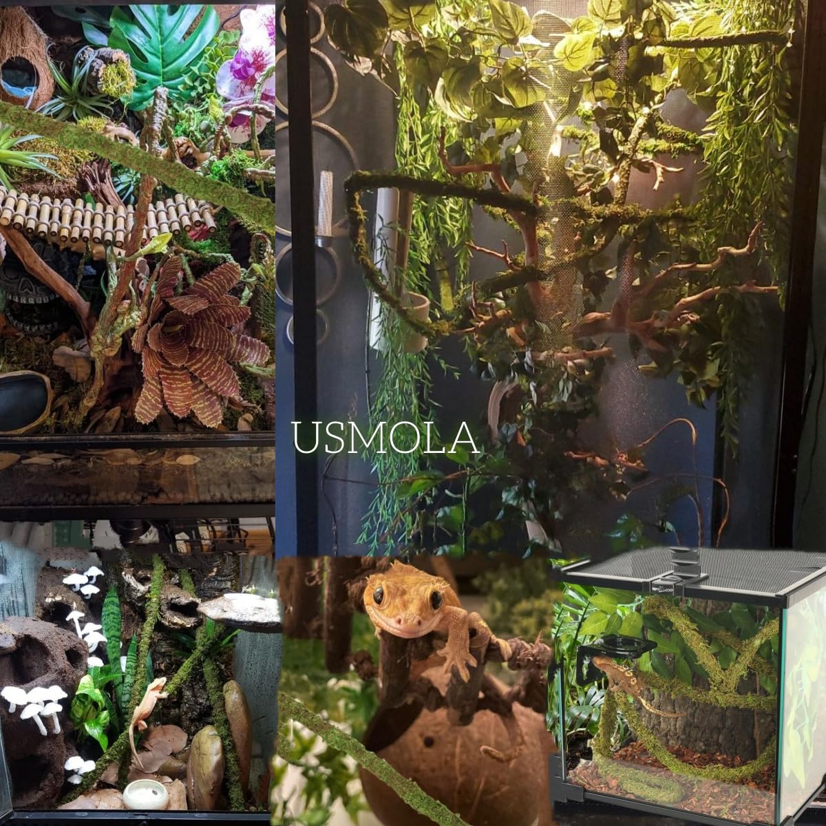 USMOLA Moss Vine green moss coating highlights lifelike habitat texture