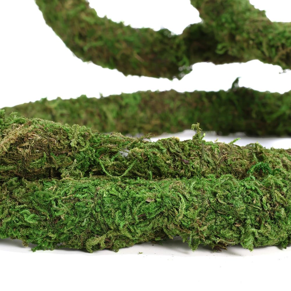 USMOLA Moss Vine safe natural materials ensure pet-friendly decor