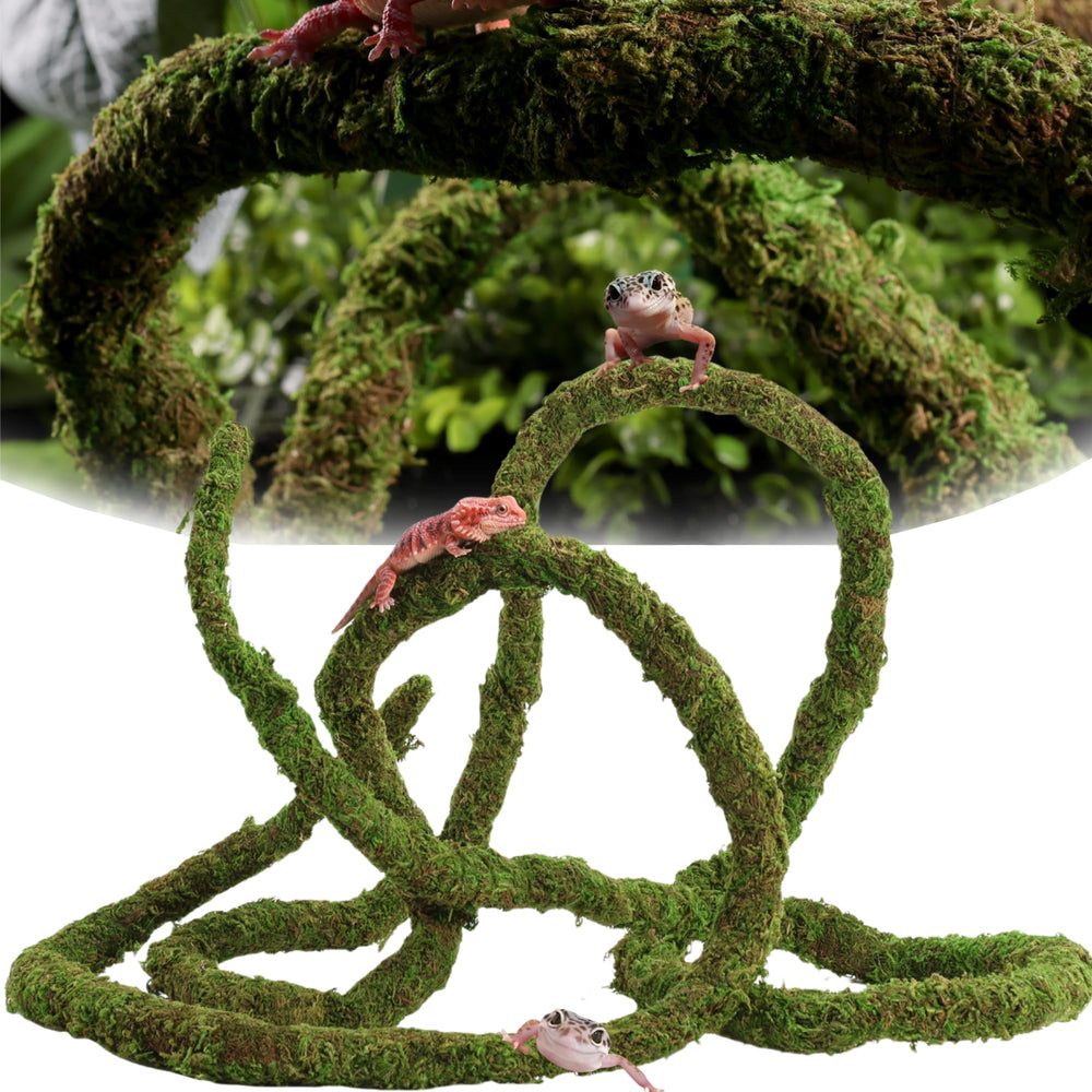 USMOLA Moss Vine terrarium climbing enhances natural habitat and enrichment for reptiles