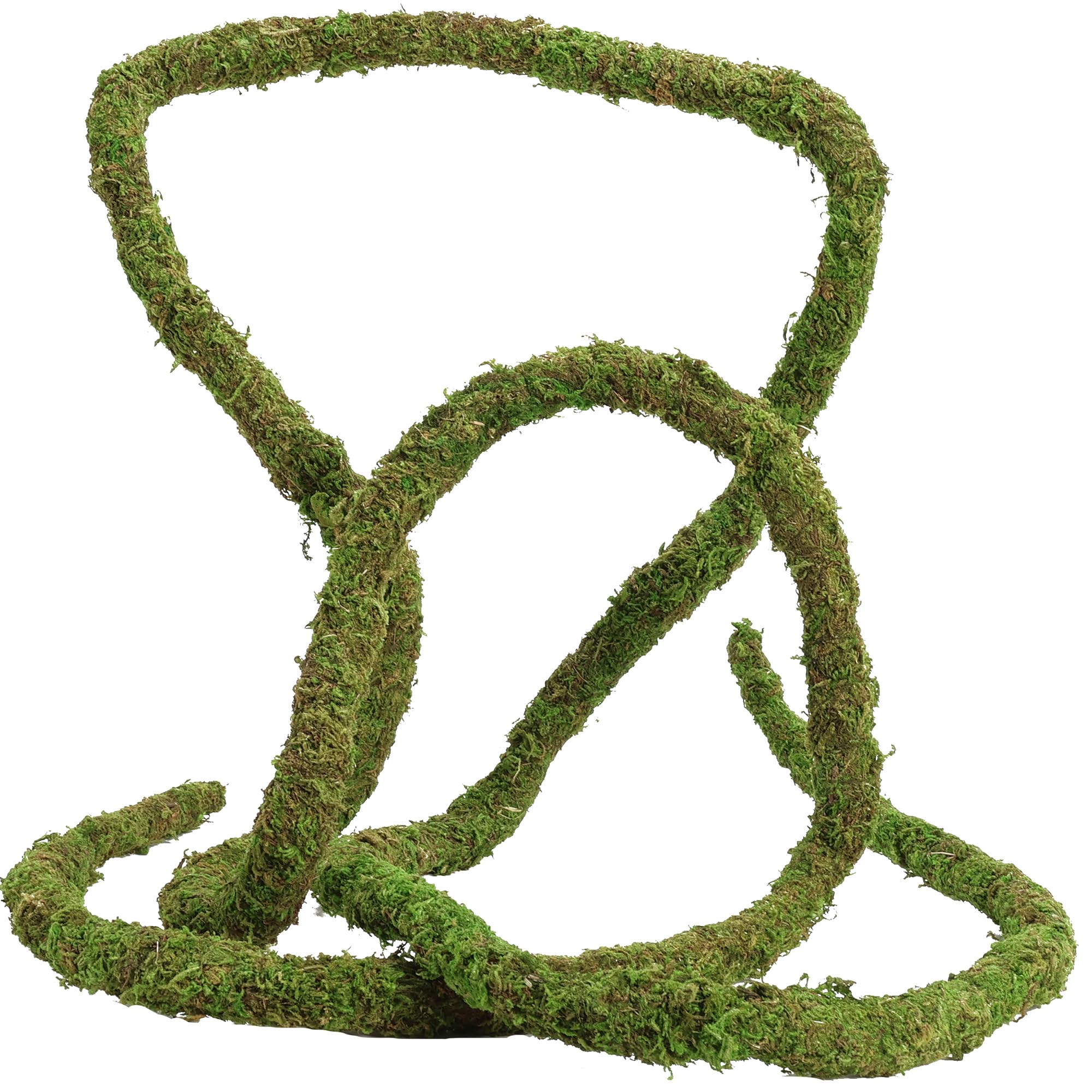 USMOLA Moss Vine durable surface suited for regular misting and climbing