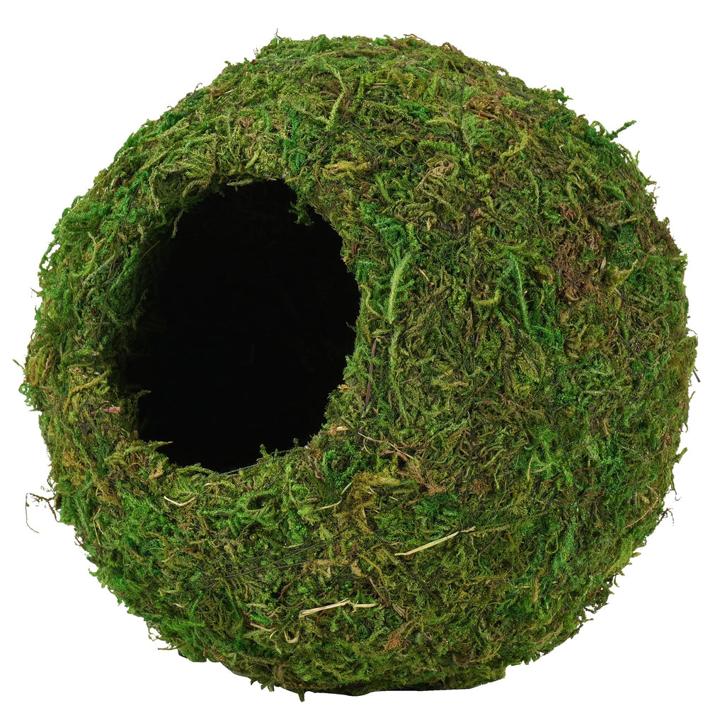 USMOLA Mossy Caves in tank setup enhances terrarium aesthetics and shelter
