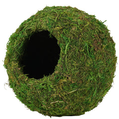 USMOLA Mossy Caves in tank setup enhances terrarium aesthetics and shelter