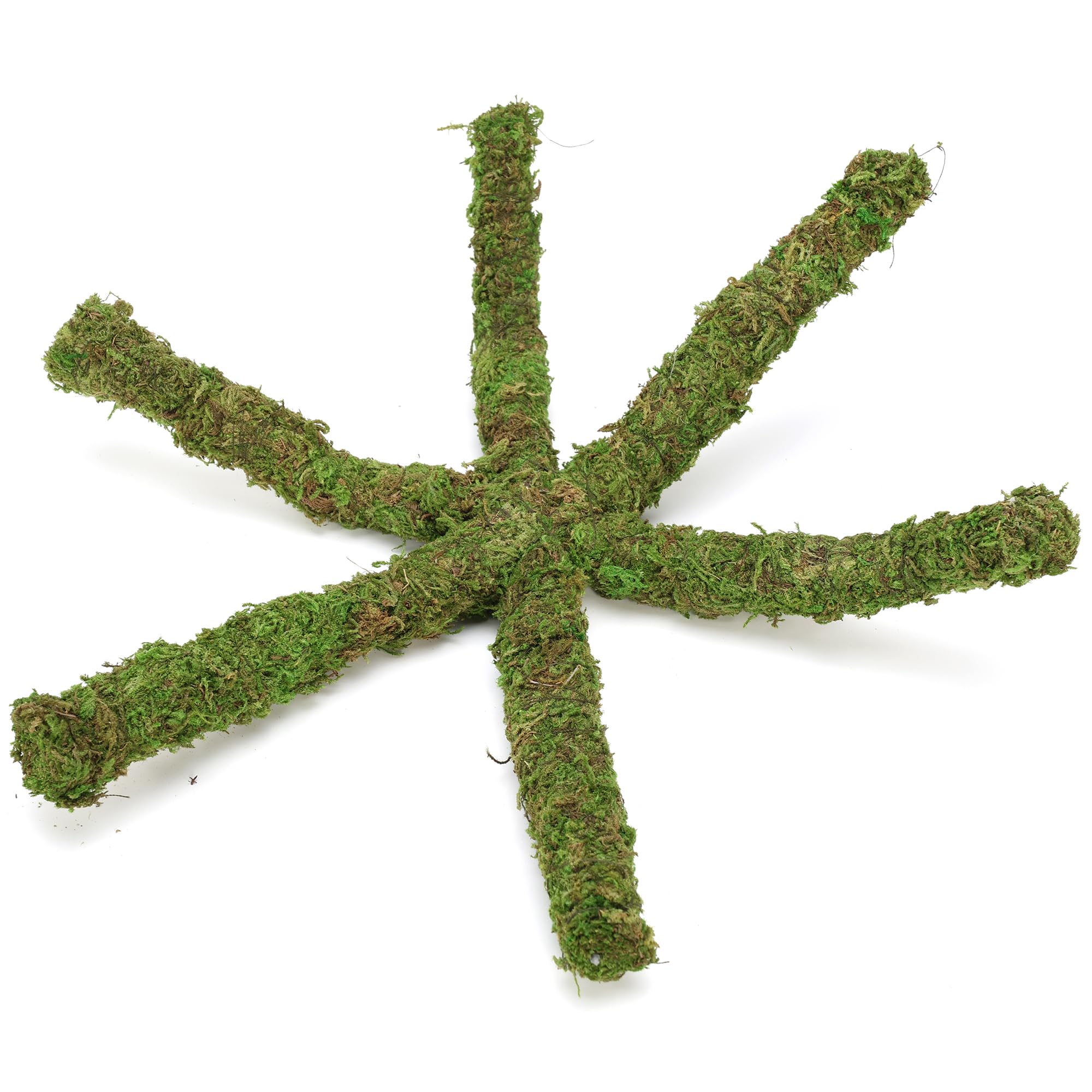 USMOLA Snail terrarium accessory adds enrichment and shelter with a natural look.