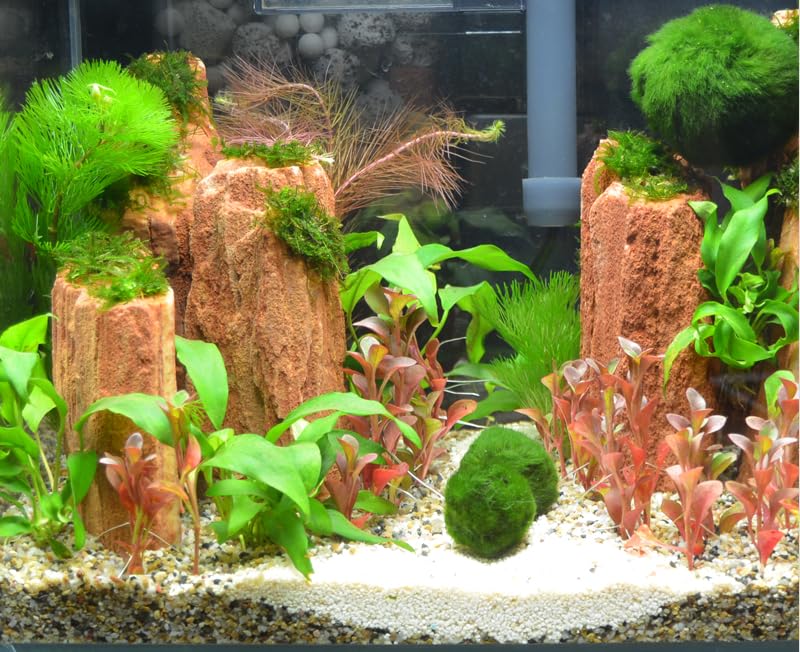 USRUTIUD green algae balls in packaging demonstrating easy-start aquarium decor