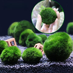 USRUTIUD green algae balls arranged to evoke a natural water-feature accent in tank