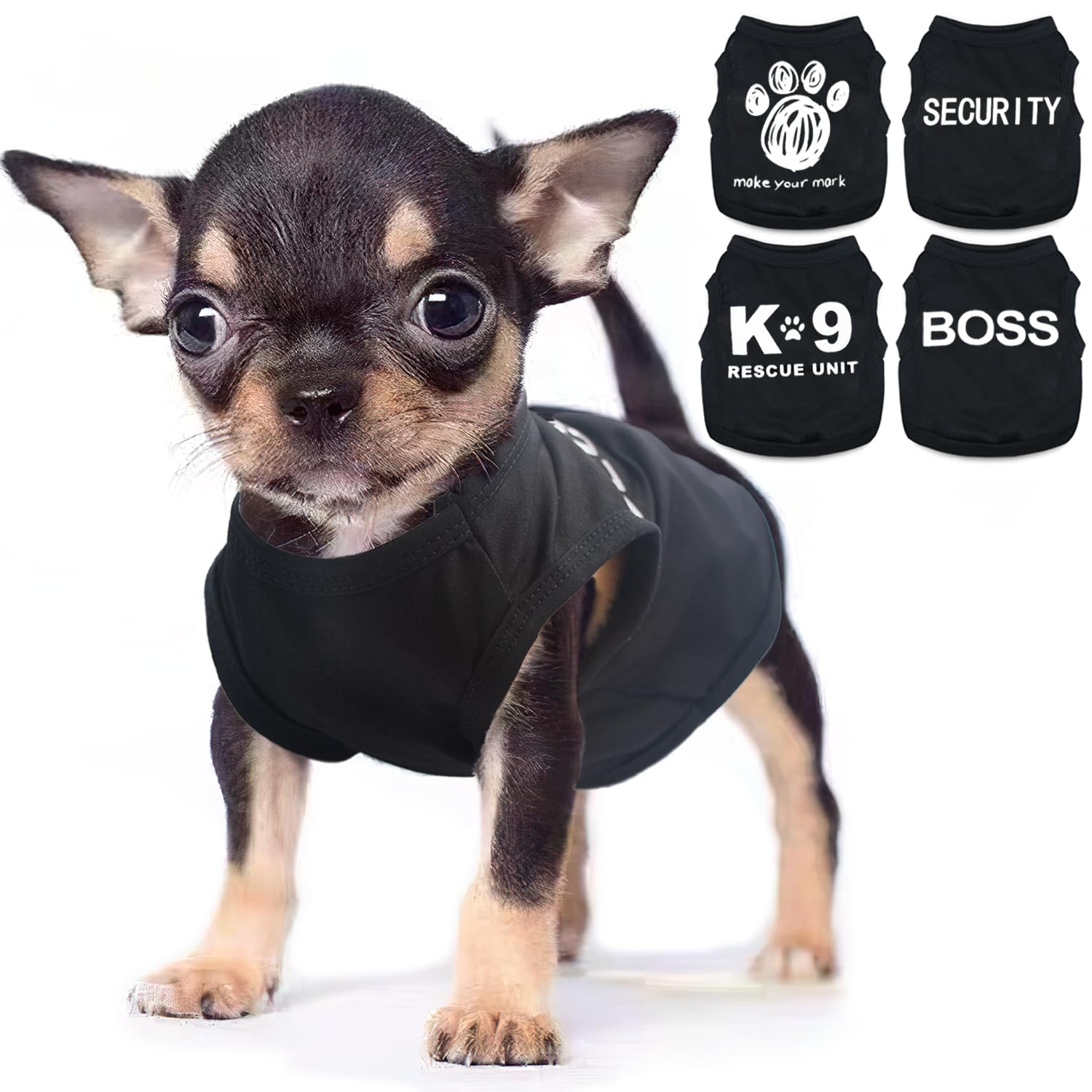 Uswalnna four-piece Chihuahua clothes on a tiny dog for daily stylish wear.