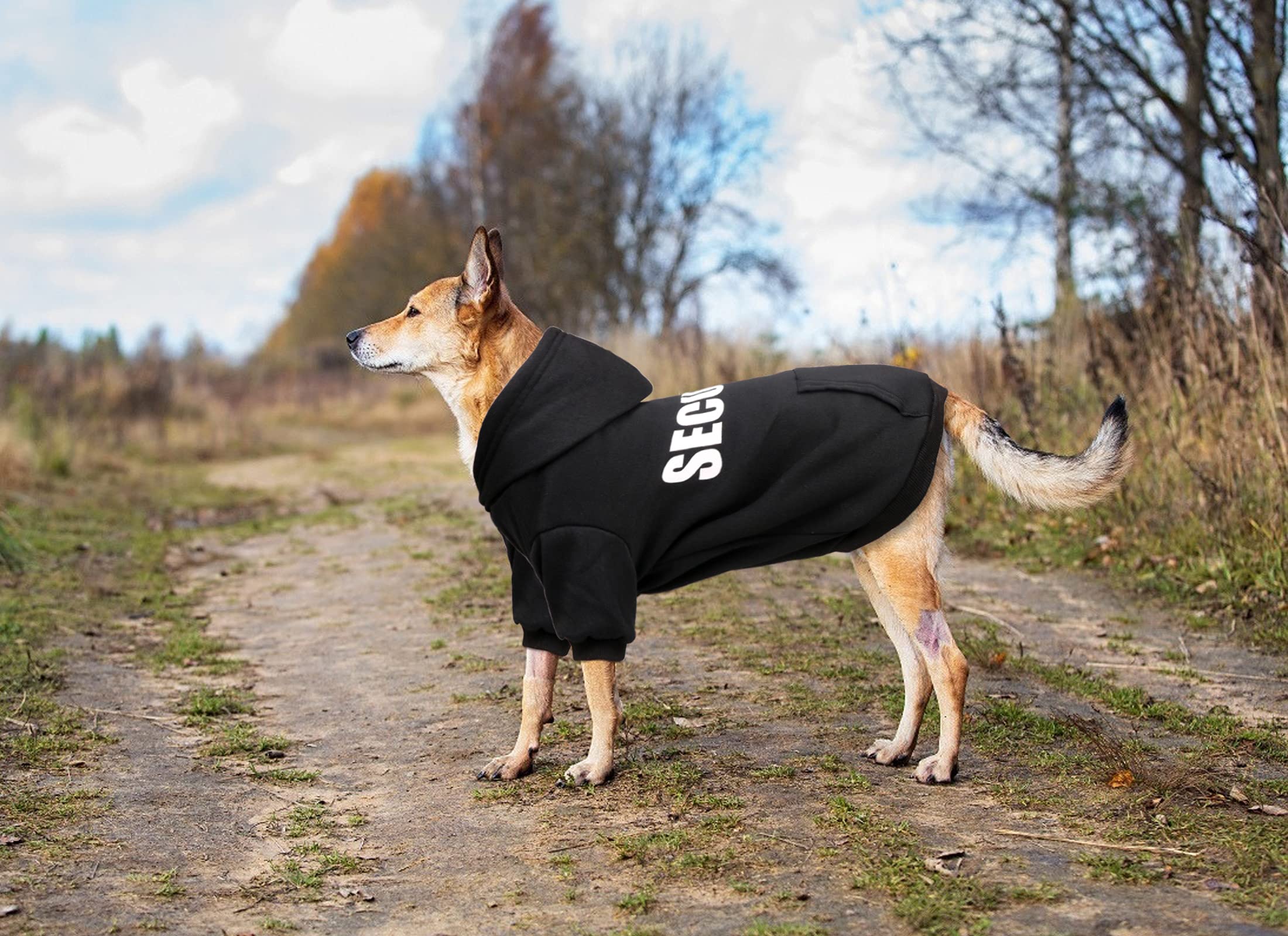 Uteuvili sudadera-perro-lavado-facil: apta para lavado a máquina.