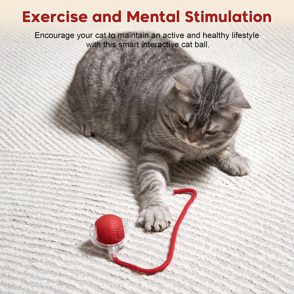 Utroni Interactive Ball durable materials ensure safe, long-lasting use.