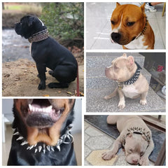 UVONOKAY Mighty collar D-ring close-up emphasizes heavy-duty construction for secure leash attachment.
