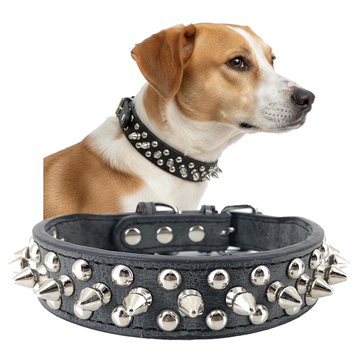 UVONOKAY Spiked Collar close-up showing chrome round studs for bold style and deterrence.