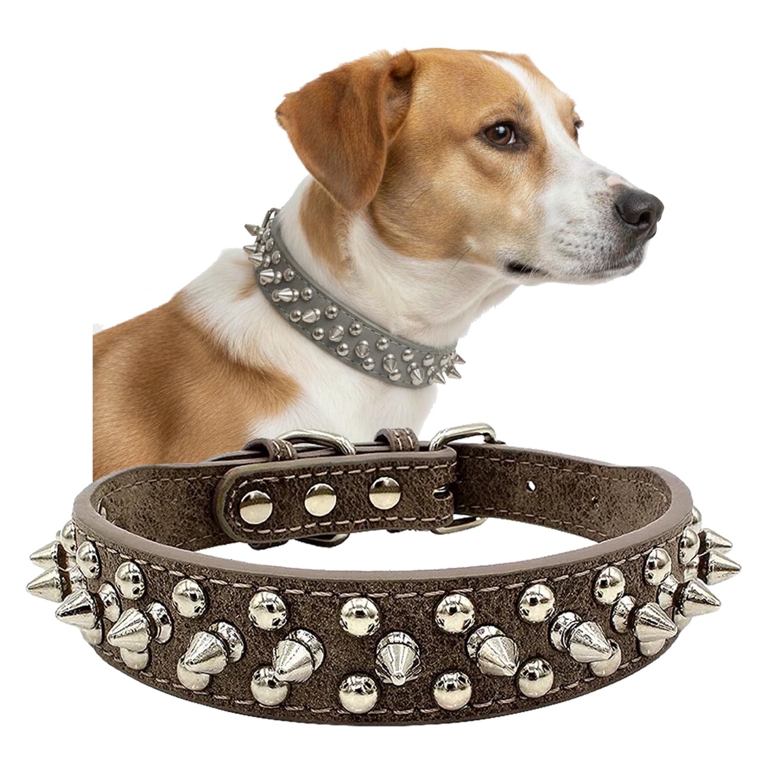 UVONOKAY spiked collar grey front view enhances safety during outdoor walks