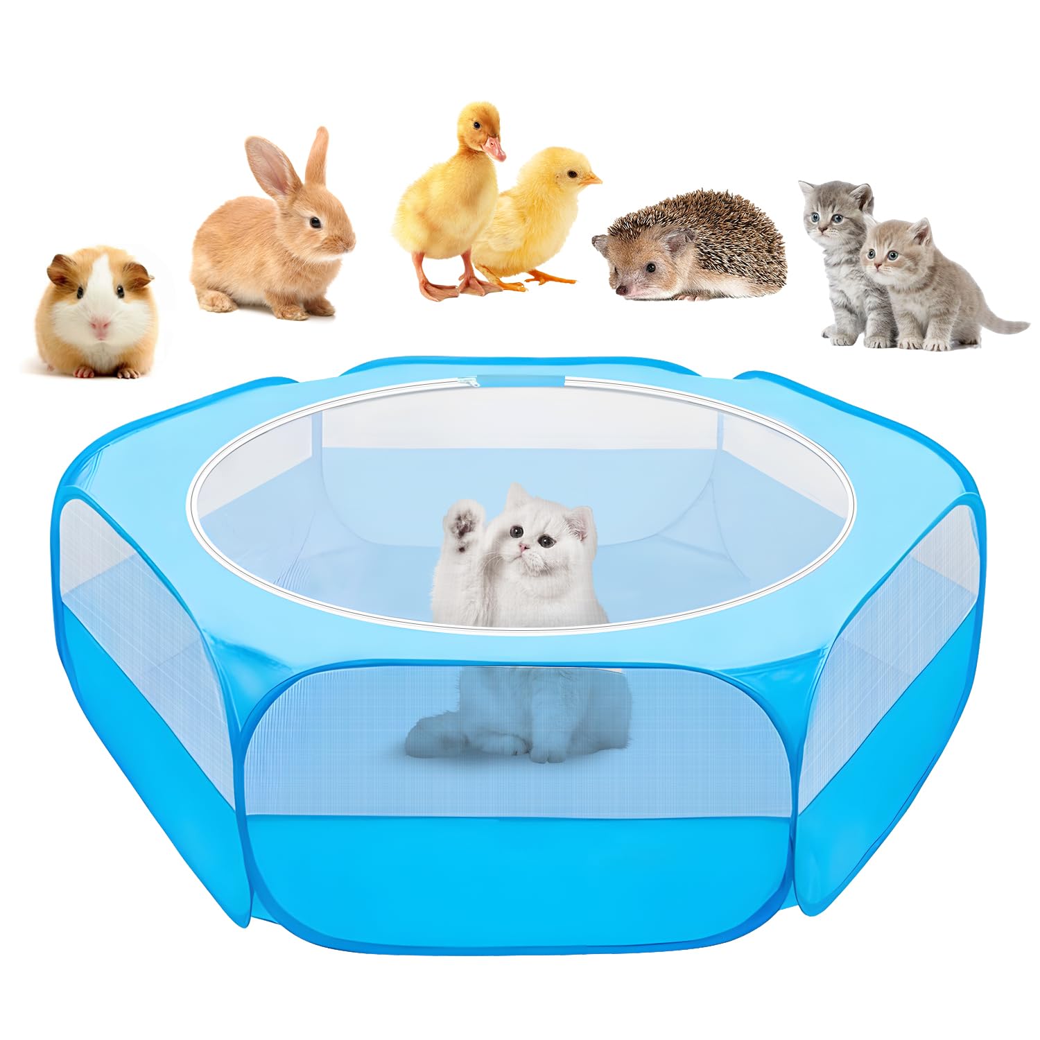 UWE Small Animal Playpen blue top view showing compact indoor enclosure