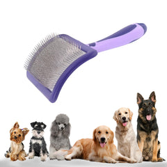 UXIETIN dog brush for poodles with soft pins aiding gentle detangling of curly coats.