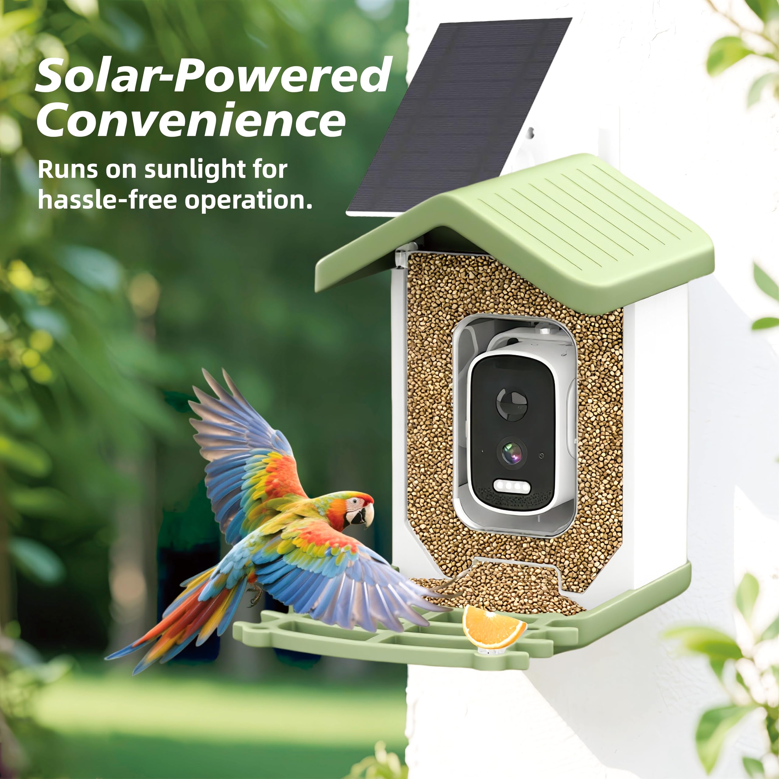 UYIDDIN AI bird ID display helps learn species with high accuracy.