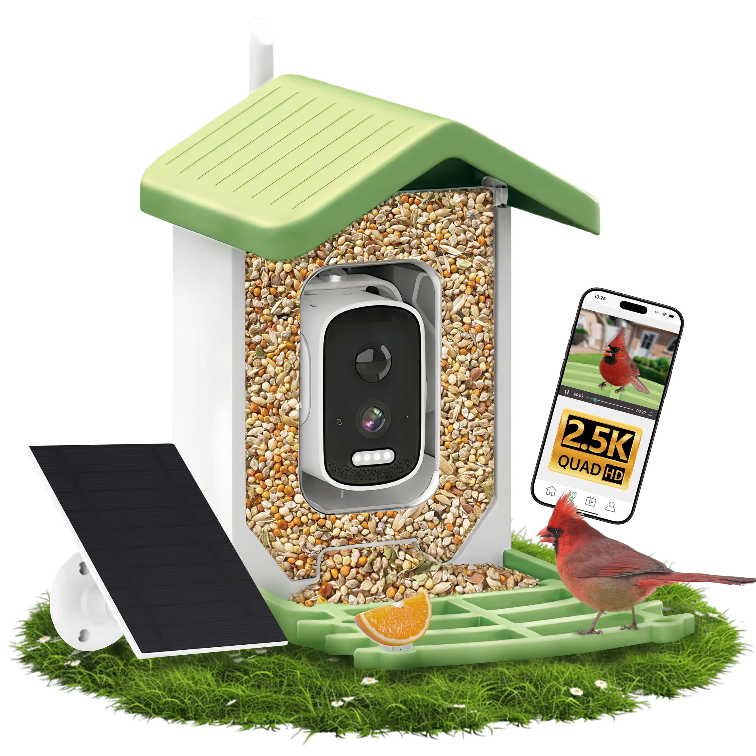 UYIDDIN bird feeder camera front view captures vivid backyard birds in action.