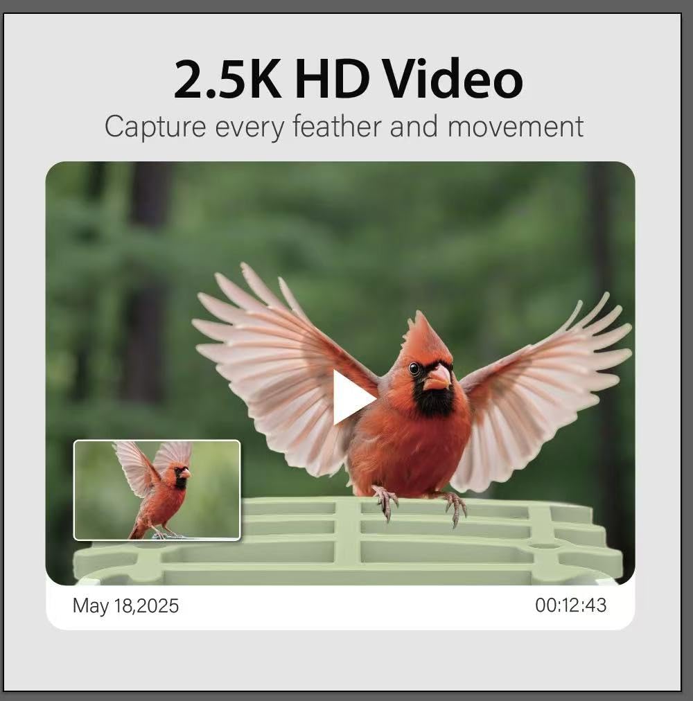 UYIDDIN night vision captures nighttime bird activity with clarity.