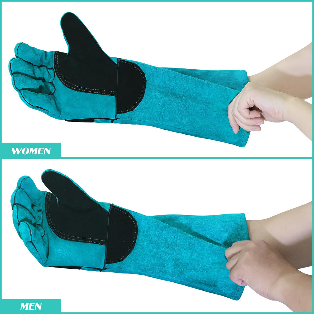 Uzhika glove blue vet-check illustrates safe handling in clinic