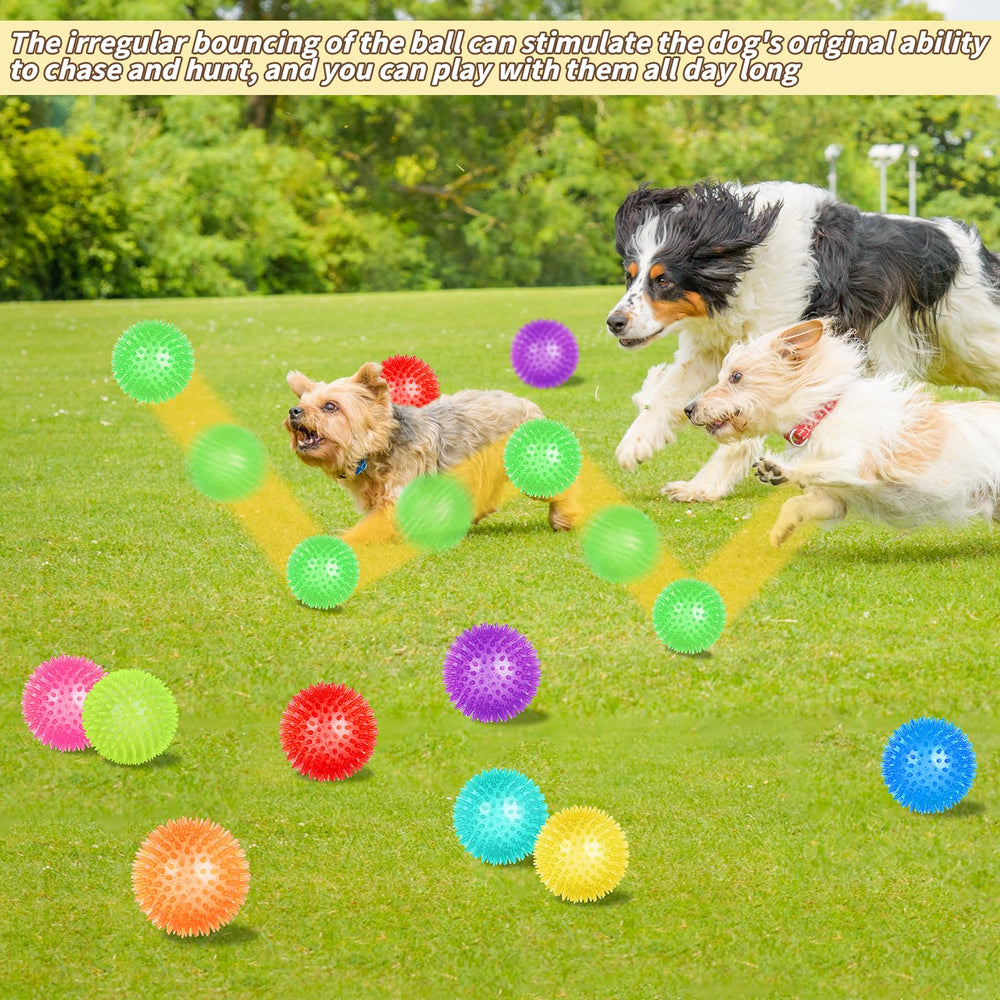 UZLU training fetch ball promotes focus during home or park play.