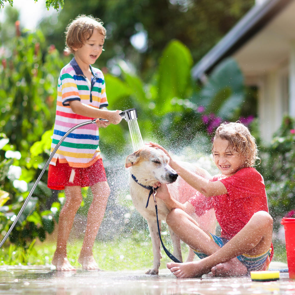 V-Frankness outdoor pet bathing setup for comfortable DIY baths.