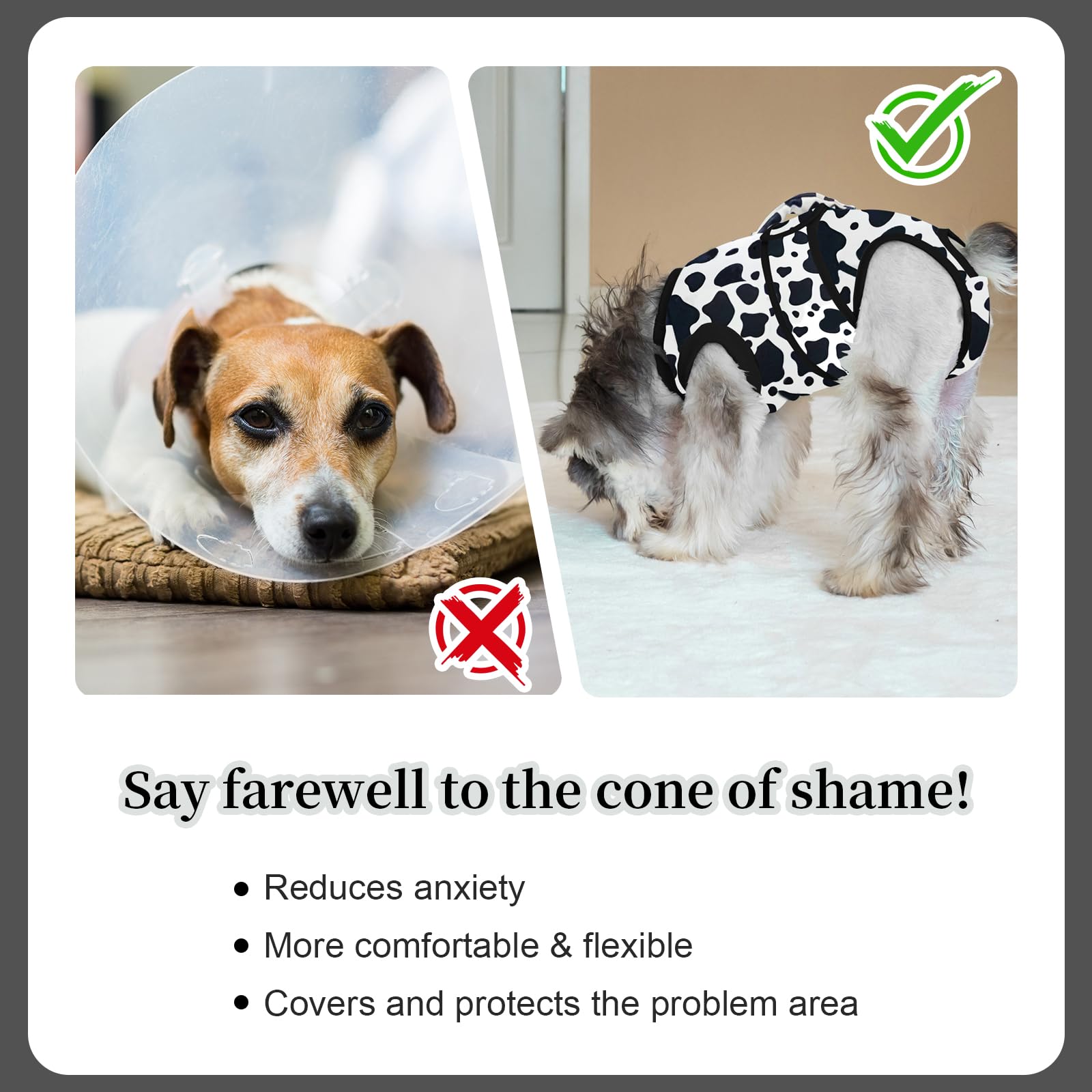 V.PET.B.R dog surgery recovery suit demonstrates easy-to-use magic tapes for quick dressing.