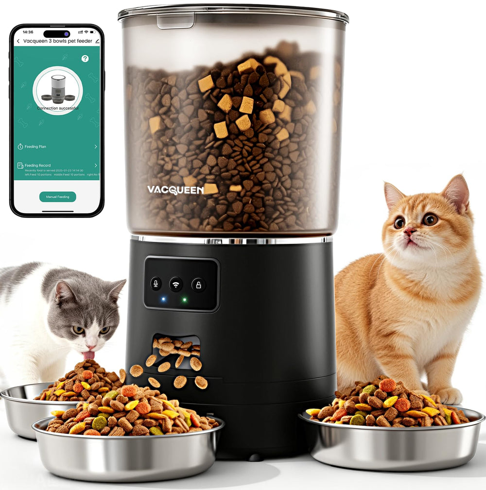 Vacqueen automatic cat feeder 6L with anti-jam system for consistent meals and fresher food.