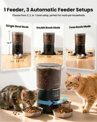 Vacqueen cat feeder three-bowl setup enables tailored meals for each cat.