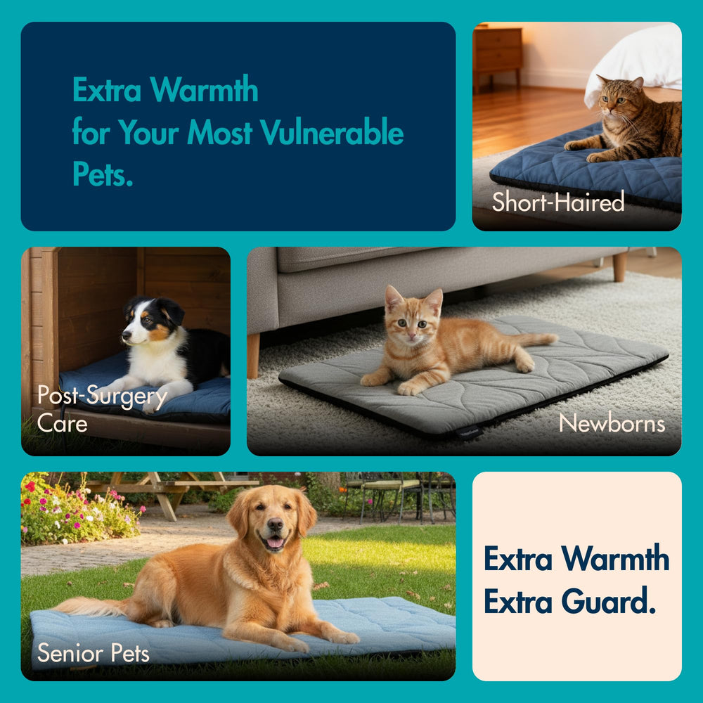Vagascape dog heating pad comes in multiple sizes to fit different pets.