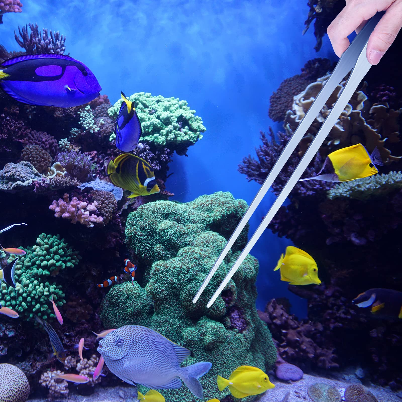 Vaincre stainless steel construction resists corrosion for underwater use in aquariums and terrariums.