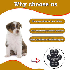VALFRID dog paw protector keeps paws clean and dry after rain