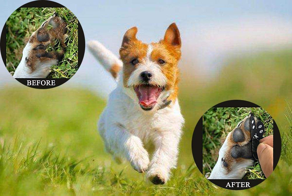 VALFRID wide-coverage paw protection demonstrates full-foot safety on slippery surfaces.