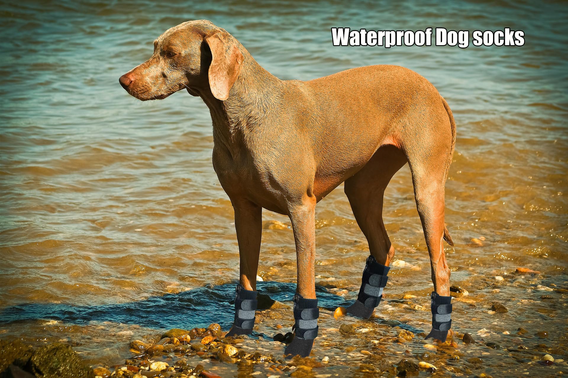 VALFRID paw protectors on wood floors reduce scratches and floor wear