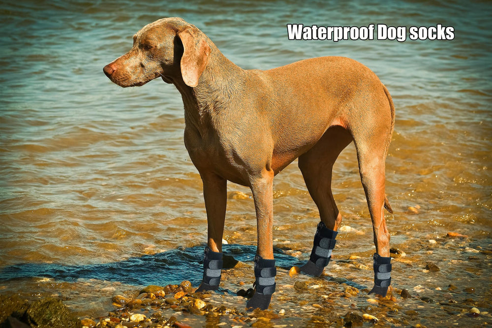 VALFRID paw protectors on wood floors reduce scratches and floor wear