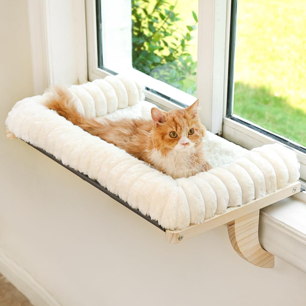 Valigogo cloud-soft cat window sill perch close-up highlights plush fur for comfy naps