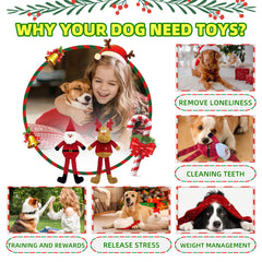 Valuepeak textured dental dog toy massages gums during chewing sessions