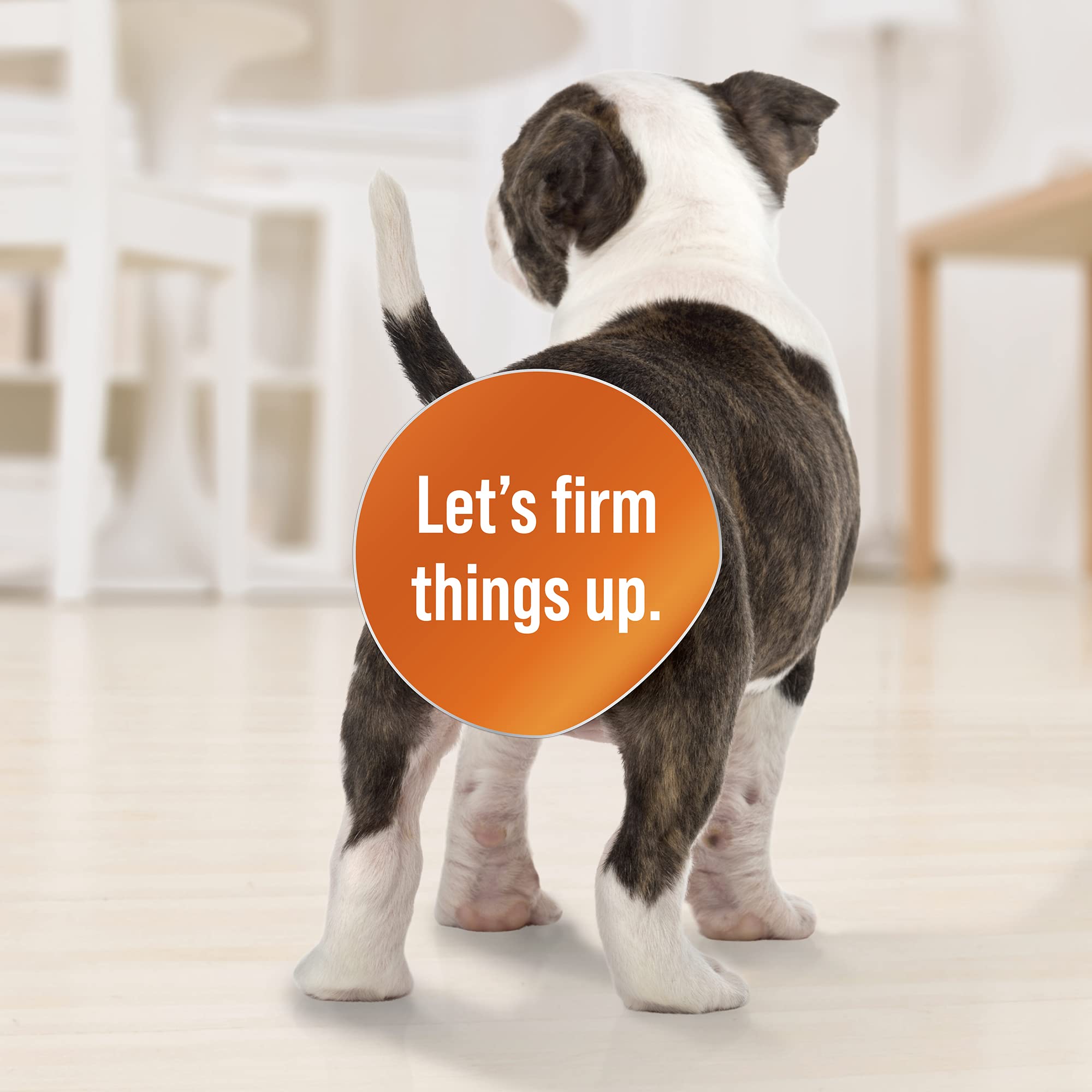 Van Beek DiaGel 3ml dispenser enables easy, accurate dosing for pet owners.