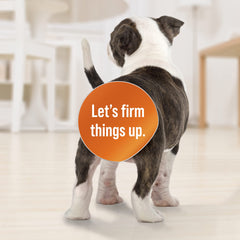Van Beek DiaGel 3ml dispenser enables easy, accurate dosing for pet owners.