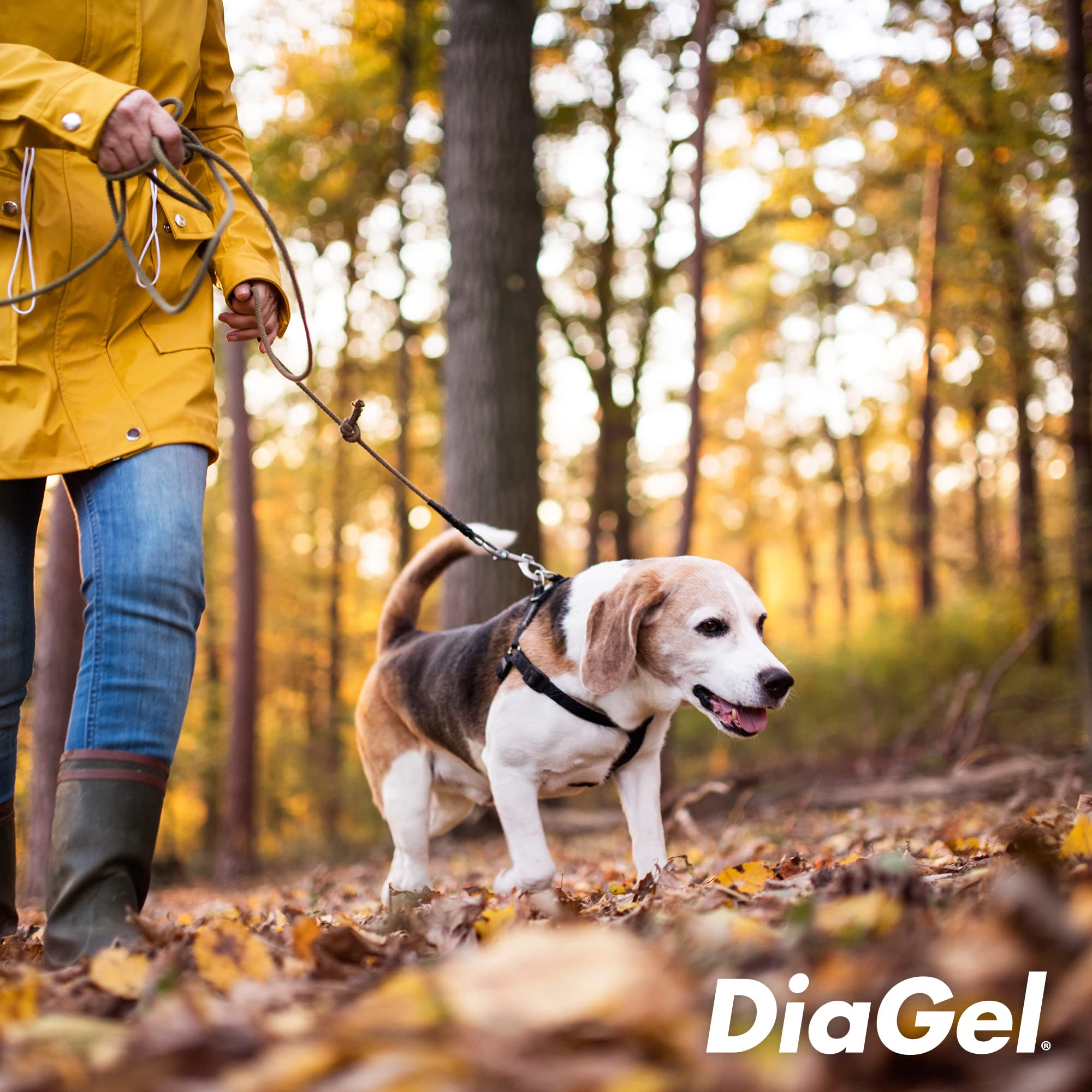 Van Beek DiaGel dog-owner-use shows calm dog during home administration.