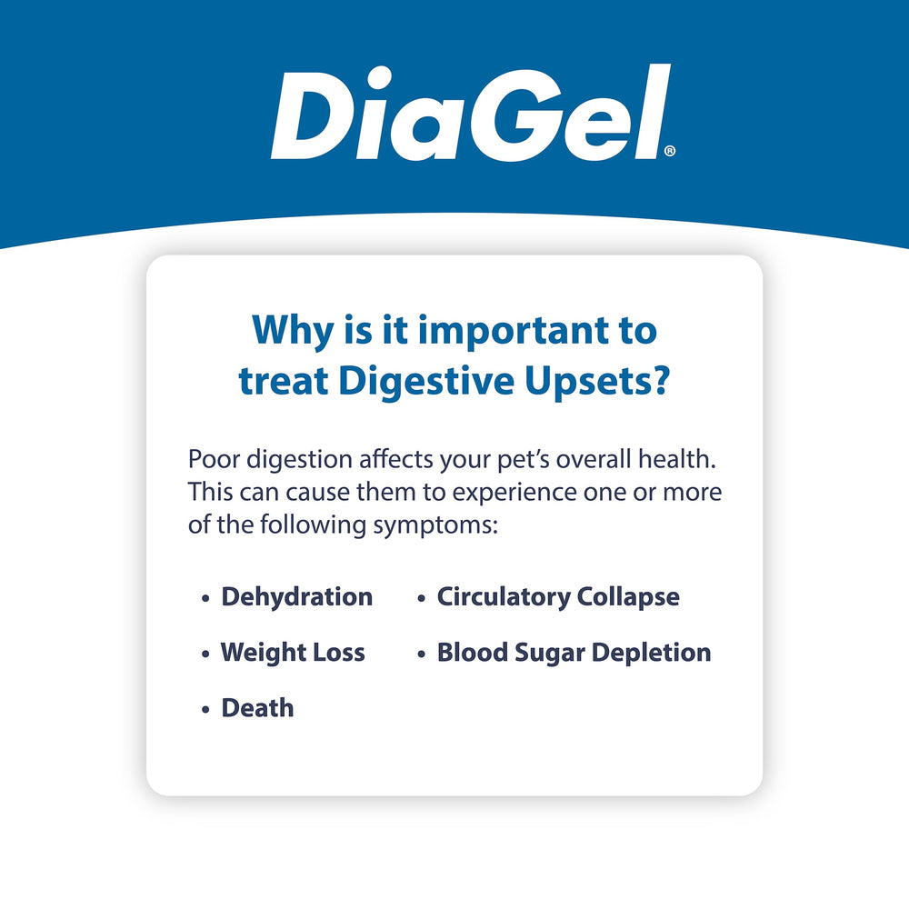 Van Beek Natural Science DiaGel kittens digestive-support graphic highlights GI function support.