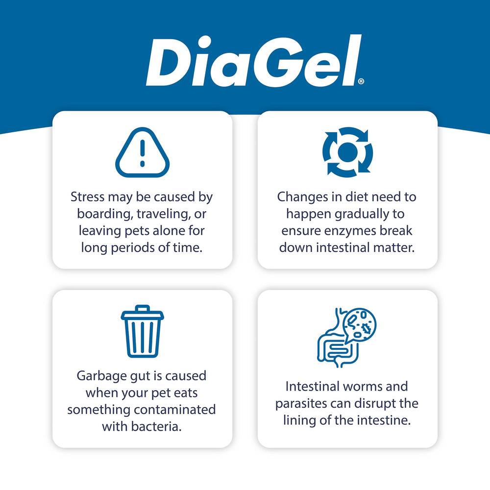 Van Beek Natural Science DiaGel kittens pipette dispenser shows precise dosing for stress events.