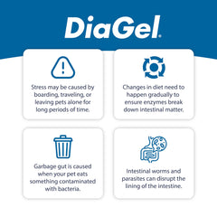 Van Beek Natural Science DiaGel kittens pipette dispenser shows precise dosing for stress events.