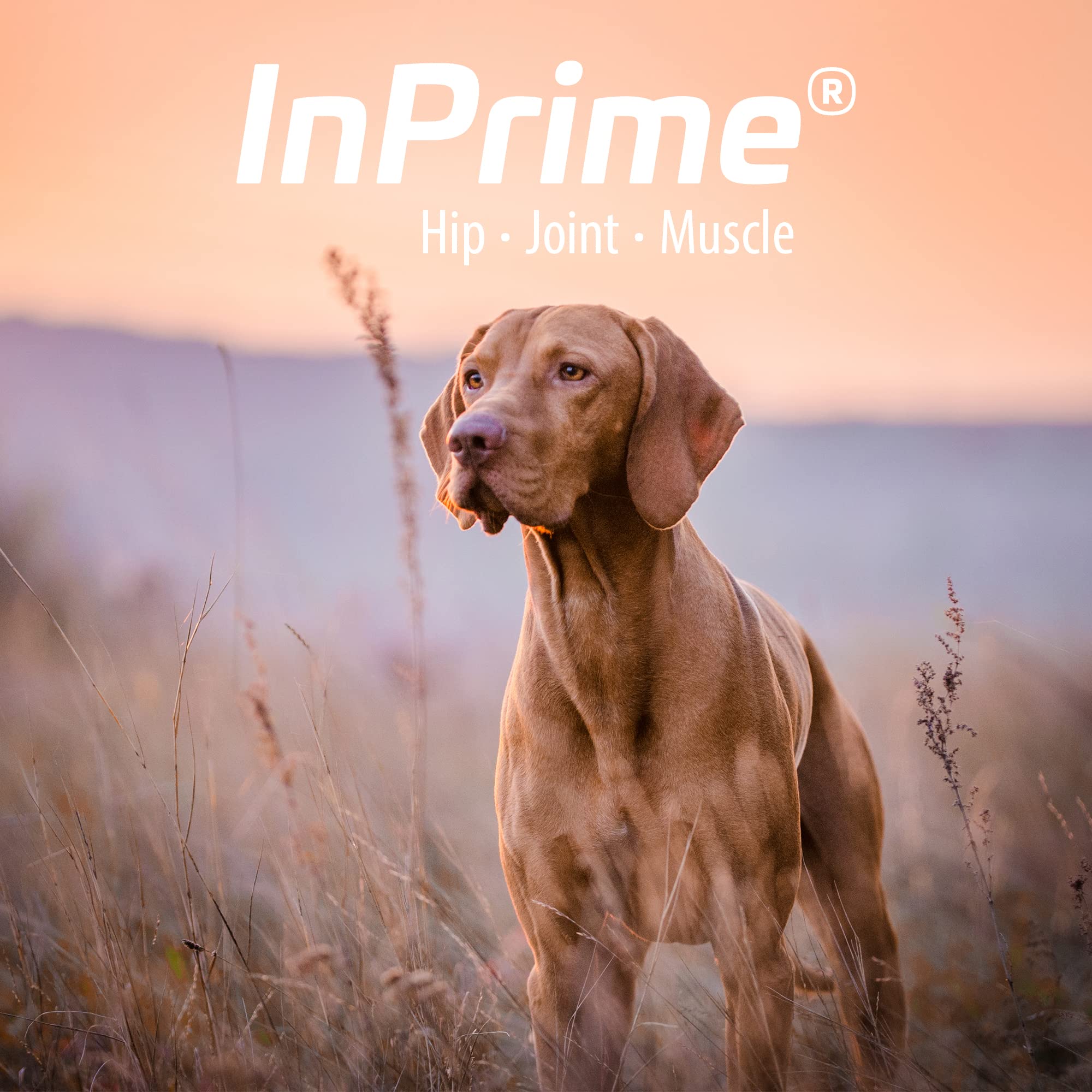 Van Beek-Natural Science InPrime joint support chews easy daily care integration