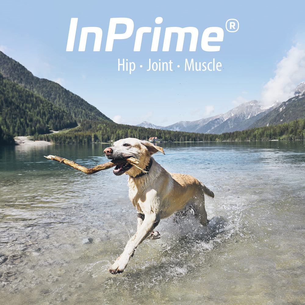 Van Beek-Natural Science InPrime promotes stress-free routines during exercise or post-activity recovery