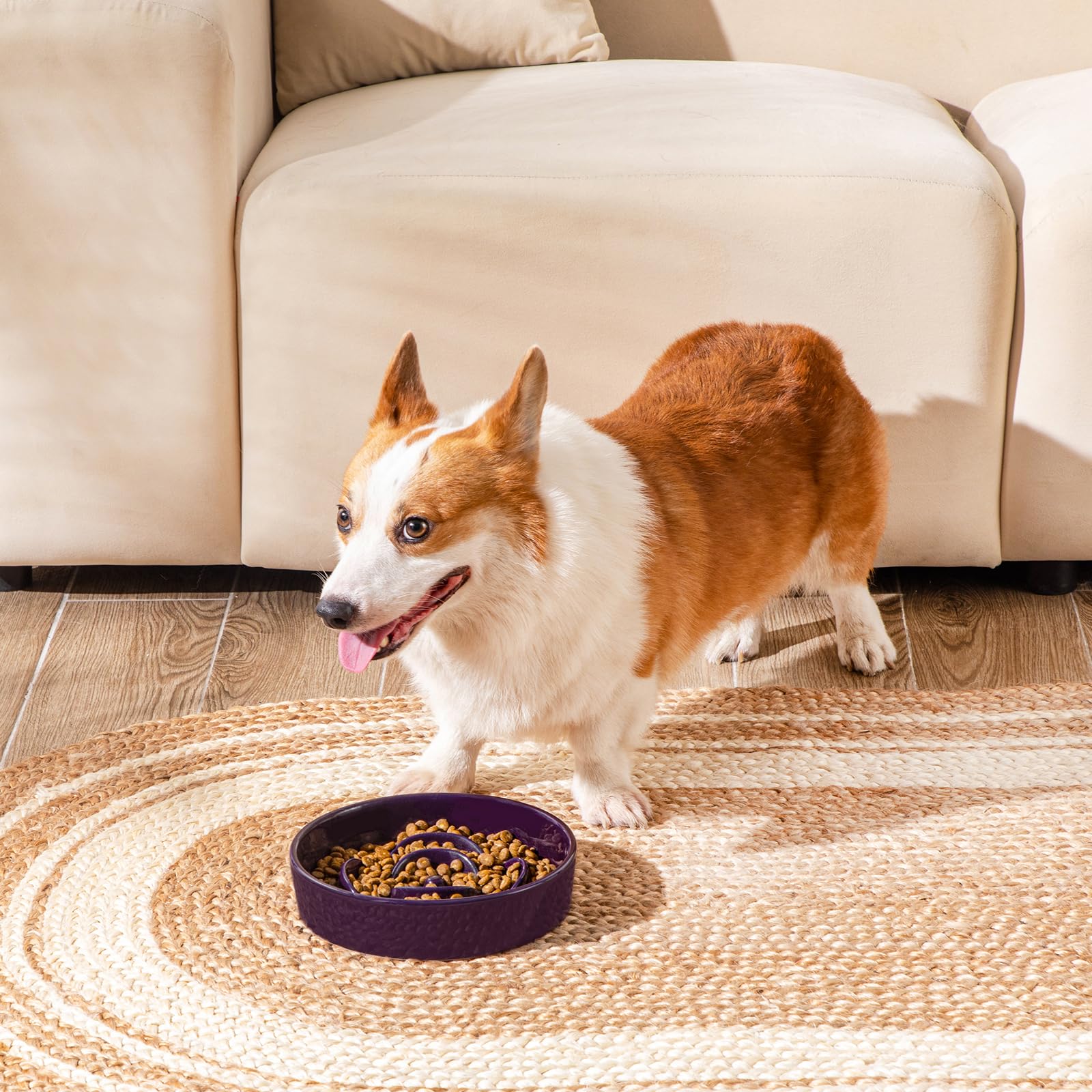 Vancasso 8.5-inch diameter bowl ideal for medium breeds and comfortable feeding.