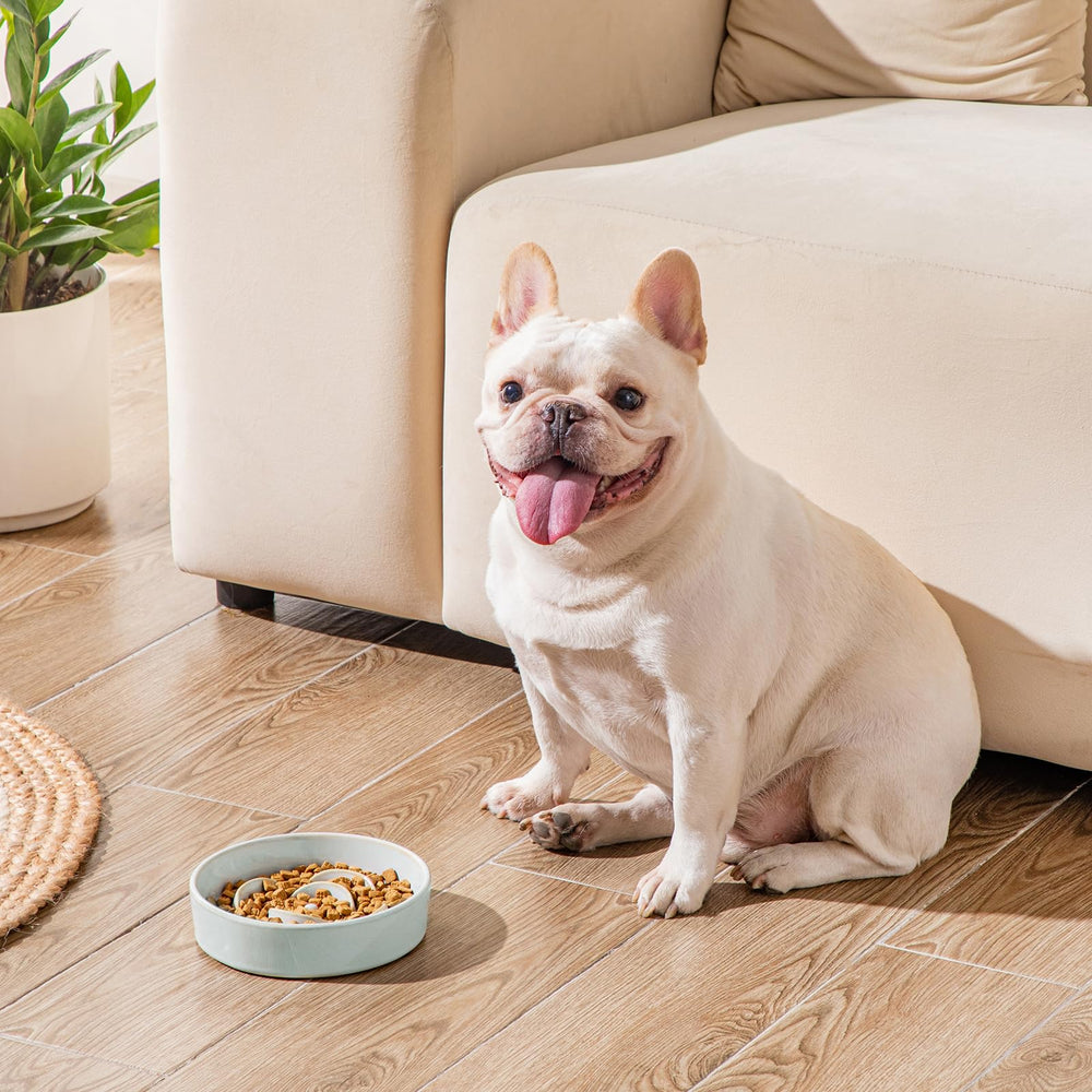 Vancasso 0.6 cup capacity supports portion control for tiny breeds.