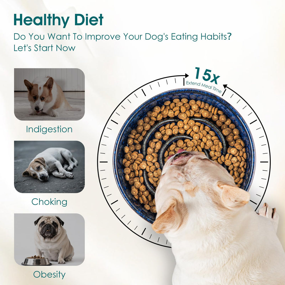 Vancasso ceramic dog bowl close-up texture highlights scratch-resistant, easy-clean surface.