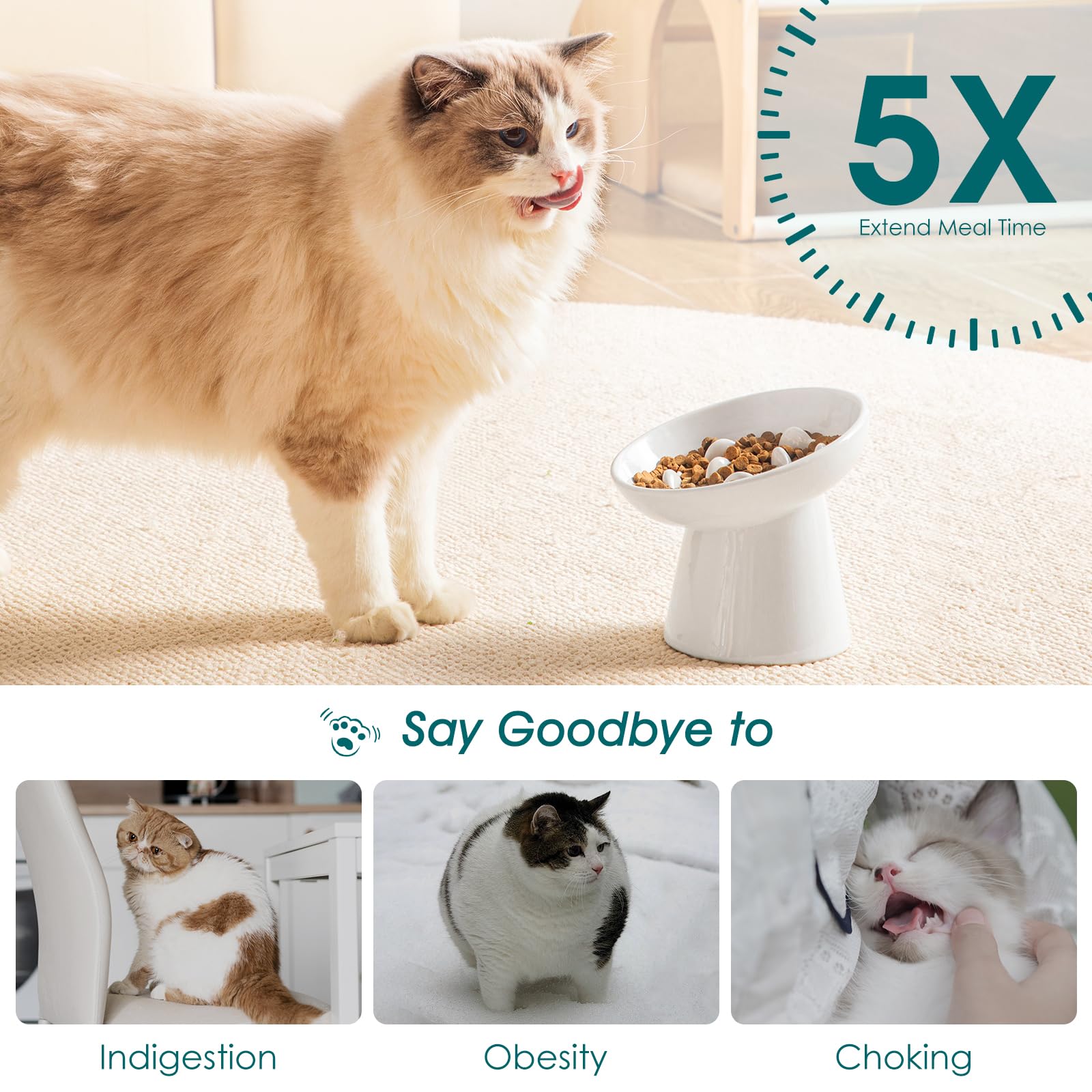 Vancasso slow-feeder bowl demonstrates use with dry and wet food