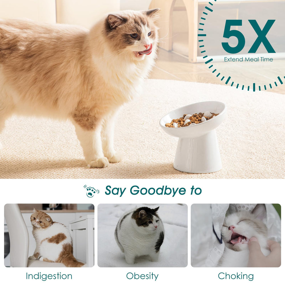 Vancasso slow-feeder bowl demonstrates use with dry and wet food