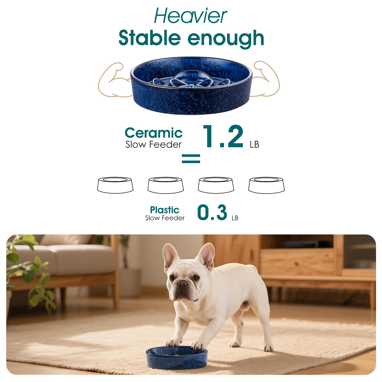 Vancasso dog meal enjoyment through design helps make mealtime engaging for tiny dogs.
